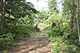 thumb-SR530-430XX.jpg